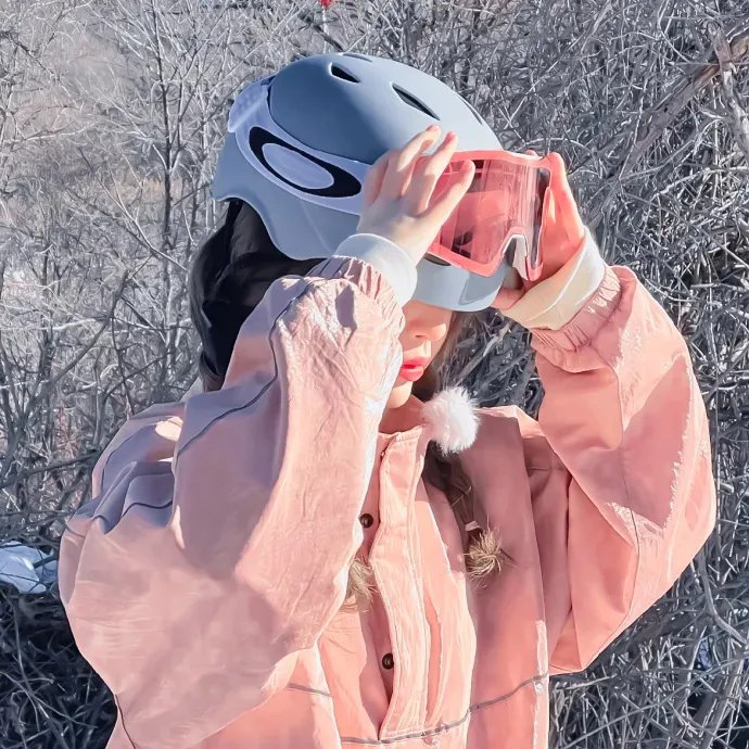 做一只鸟真不容易