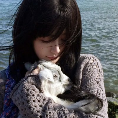 无敌猛鲨
